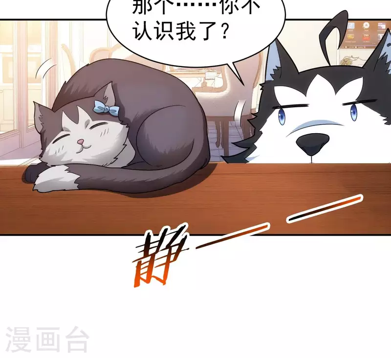 第18话 猫猫狗狗(1/2)-第18话