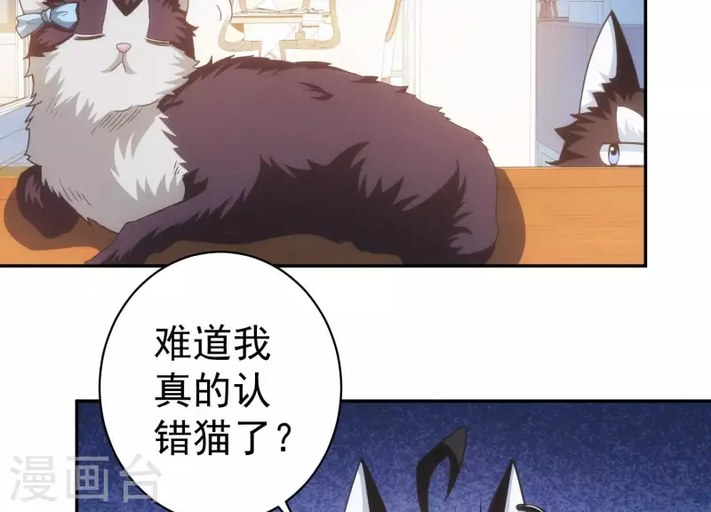 第18话 猫猫狗狗(1/2)-第18话