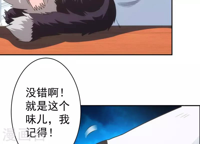 第18话 猫猫狗狗(1/2)-第18话