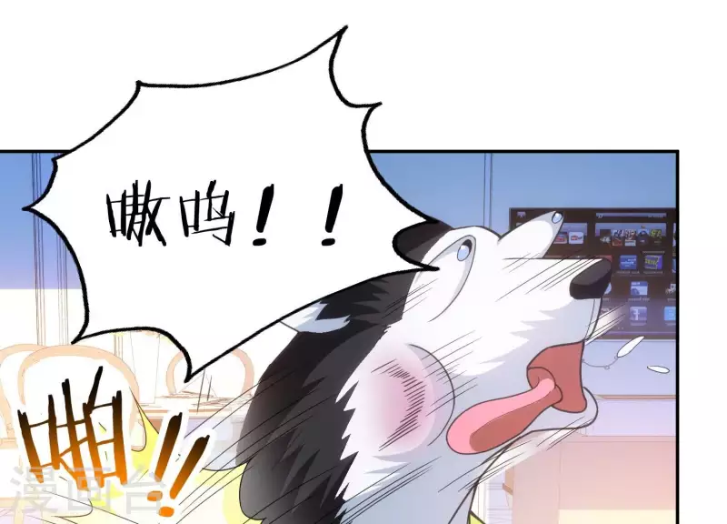 第18话 猫猫狗狗(1/2)-第18话