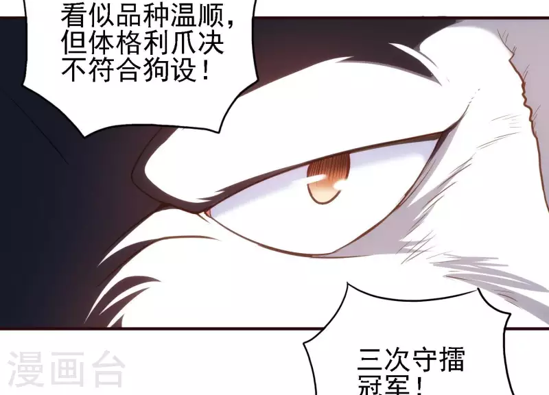 第26话 最终一战(1/2)-第26话