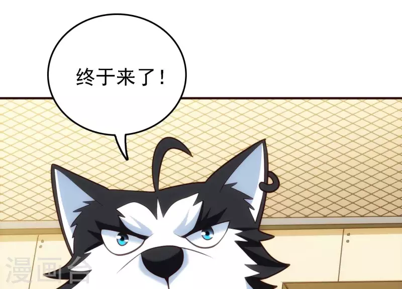 第26话 最终一战(1/2)-第26话