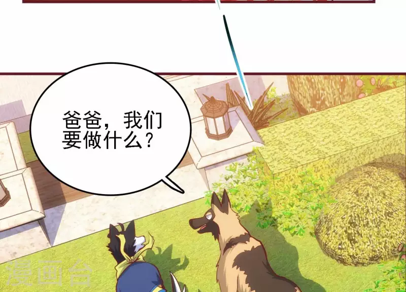 第42话 挖掘真相(1/2)-第42话