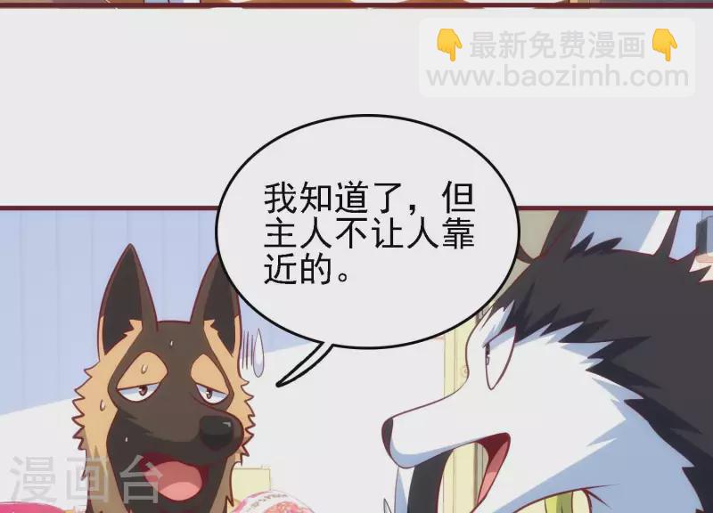 第42话 挖掘真相(1/2)-第42话