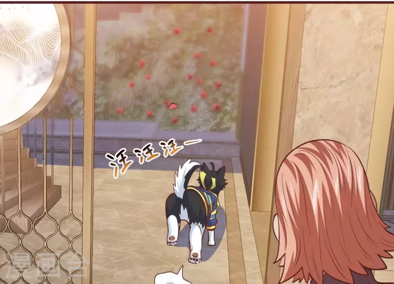 第46话 装疯卖傻(1/2)-第46话