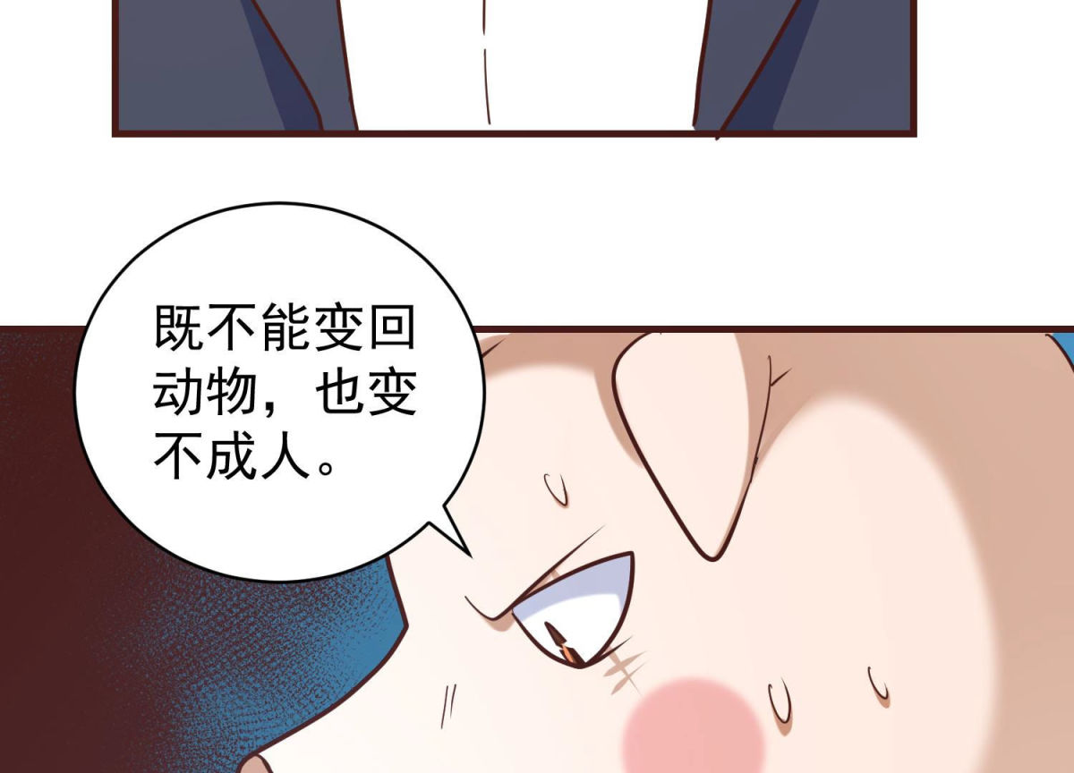 第81话 新人新策(1/2)-第82话