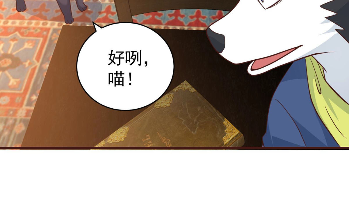 第81话 新人新策(1/2)-第82话