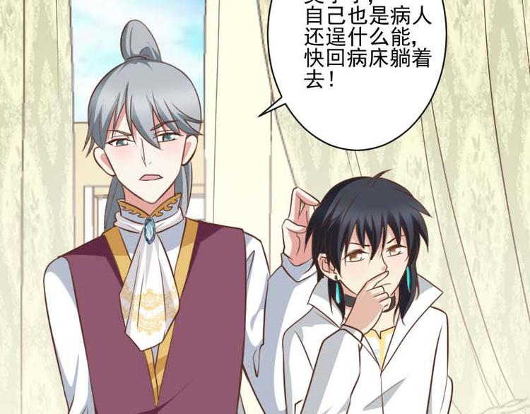 第16话 白鹰骑士-第16话