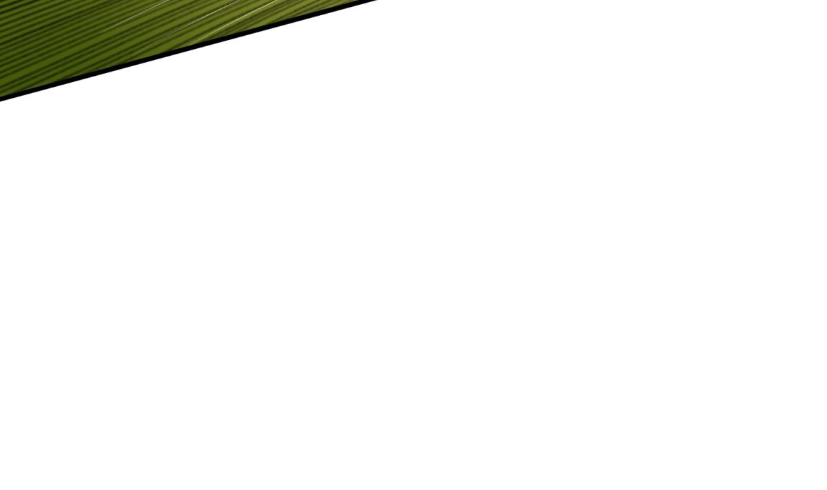 重生之錦繡大唐 - 第42話 逆鱗(1/2) - 3