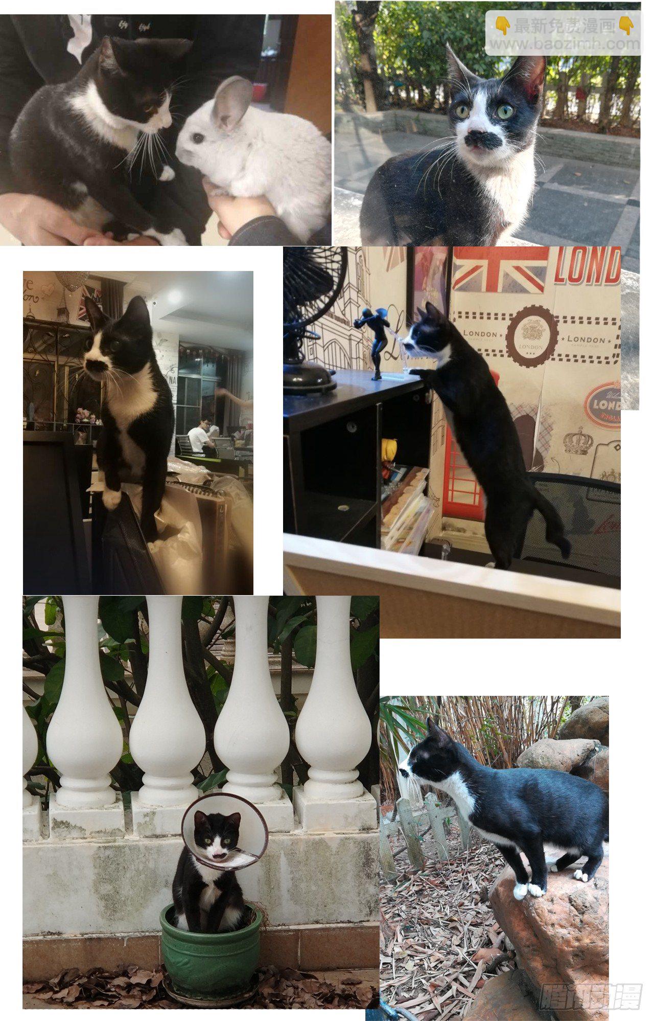 逼杀杨仪洞-第14话