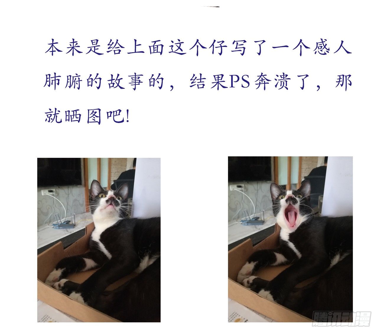 逼杀杨仪洞-第14话