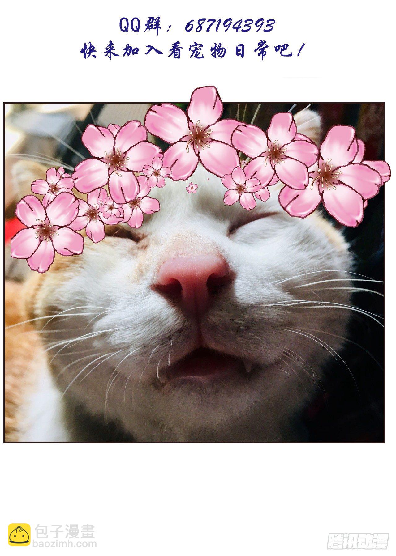 逼杀杨仪洞-第14话