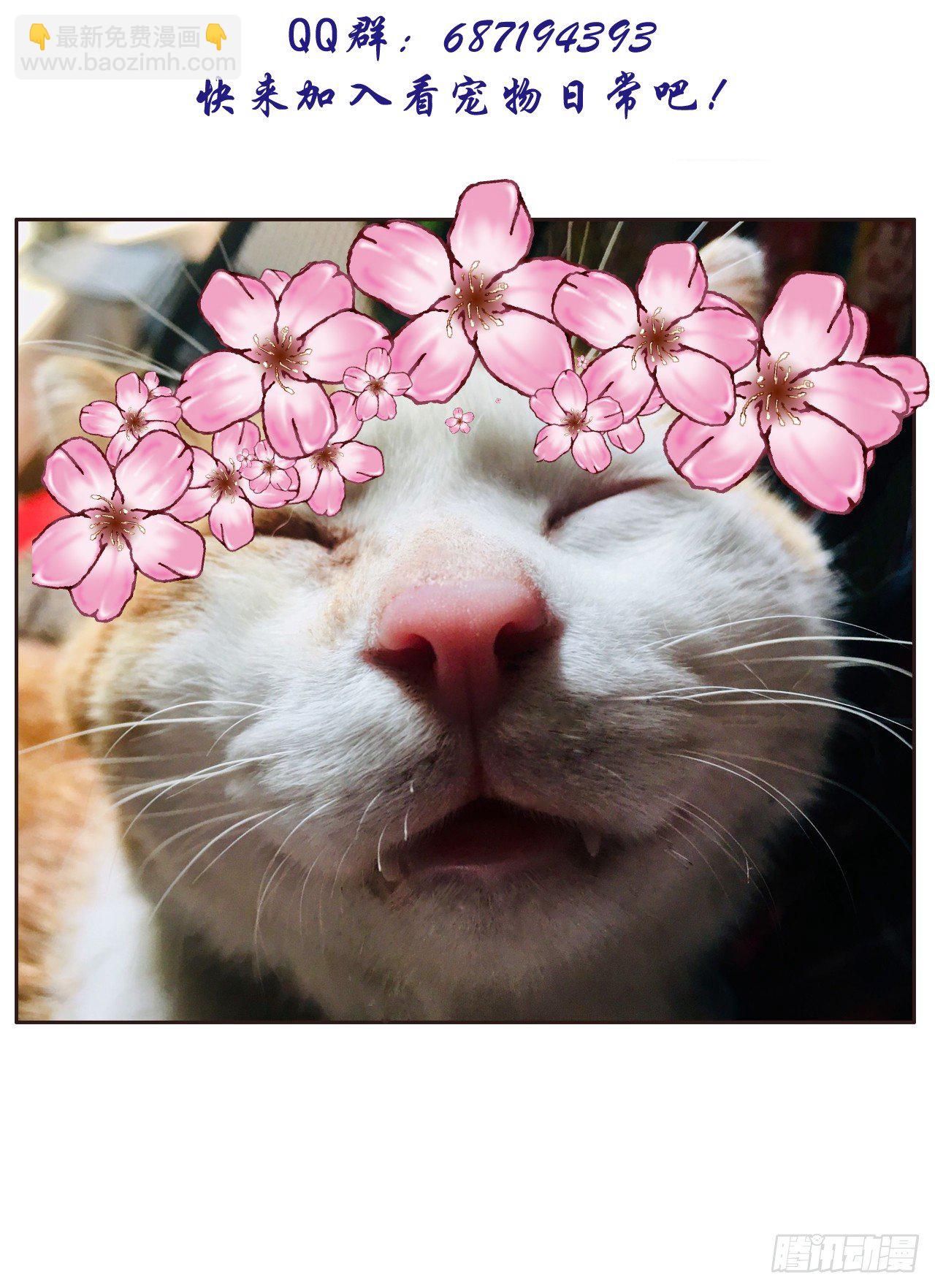 鼓动人心-第16话