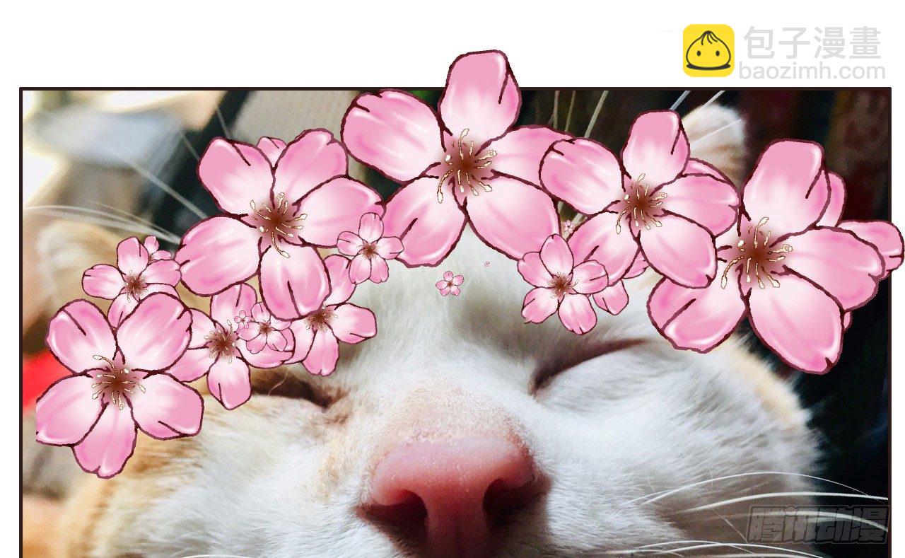 美救英雄-第18话