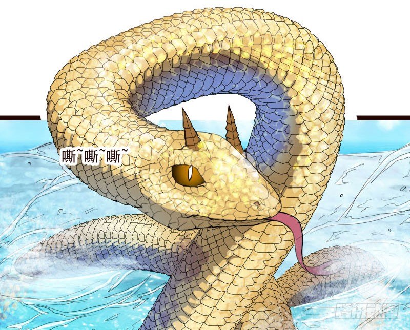 神龙显灵(1/2)-第22话