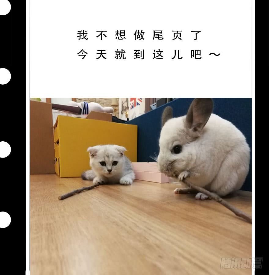 神龙显灵(1/2)-第22话