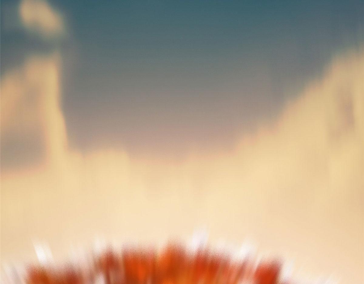 207 归我们了(1/2)-第208话