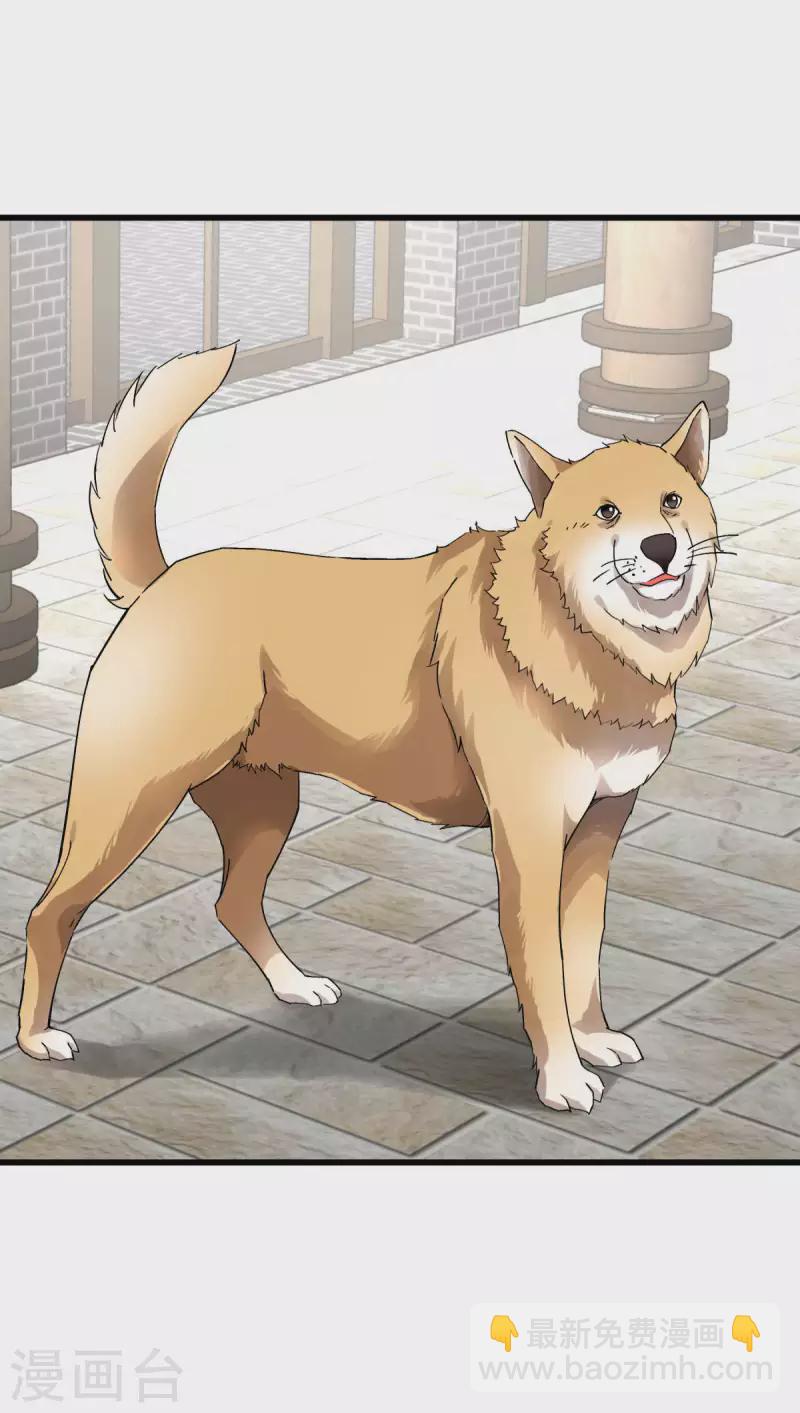 第146话 寻人-第148话