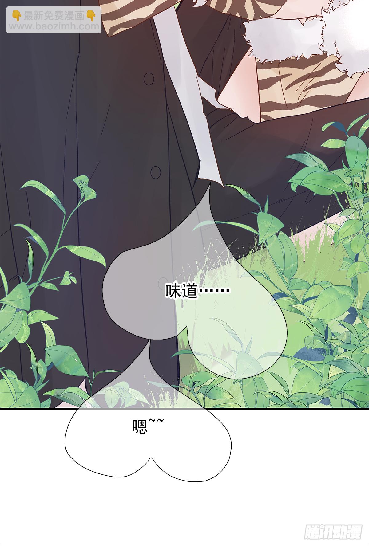 周贱贱番外01-第40话