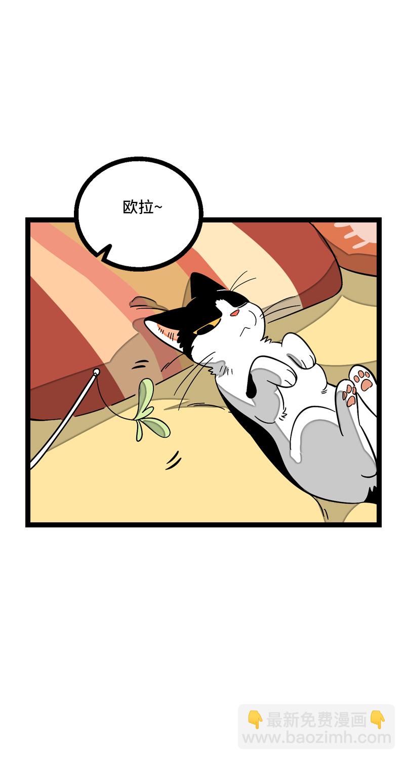 週一至週末 - 第11話 一隻特立獨行的貓 - 4