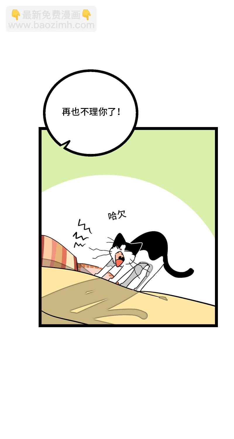 週一至週末 - 第11話 一隻特立獨行的貓 - 7