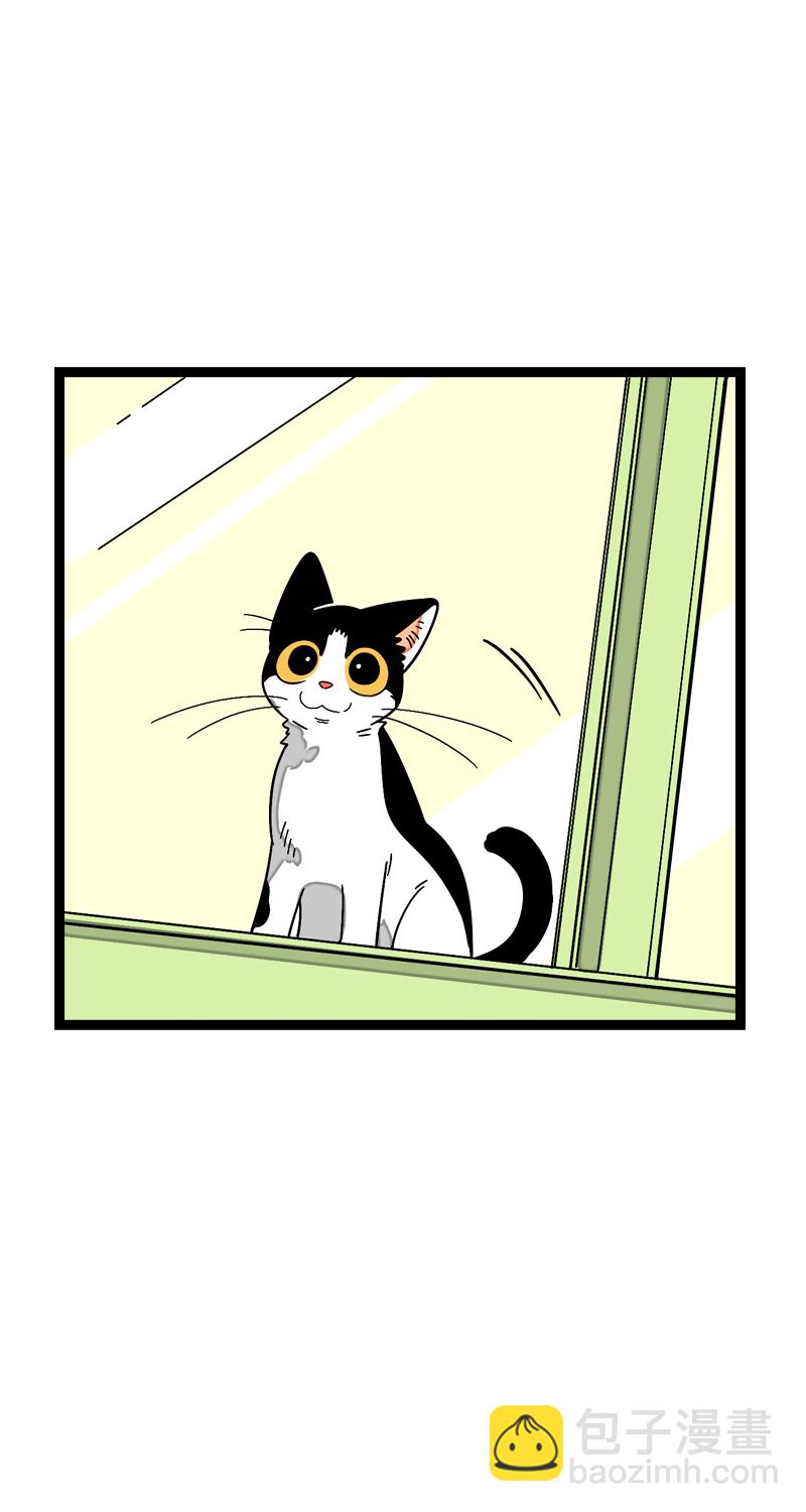 週一至週末 - 第11話 一隻特立獨行的貓 - 5