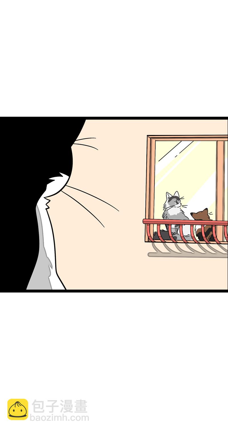 週一至週末 - 第11話 一隻特立獨行的貓 - 6