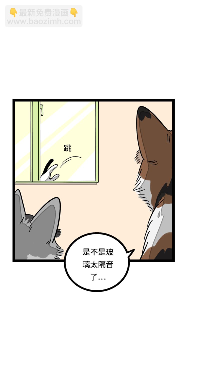 週一至週末 - 第11話 一隻特立獨行的貓 - 4