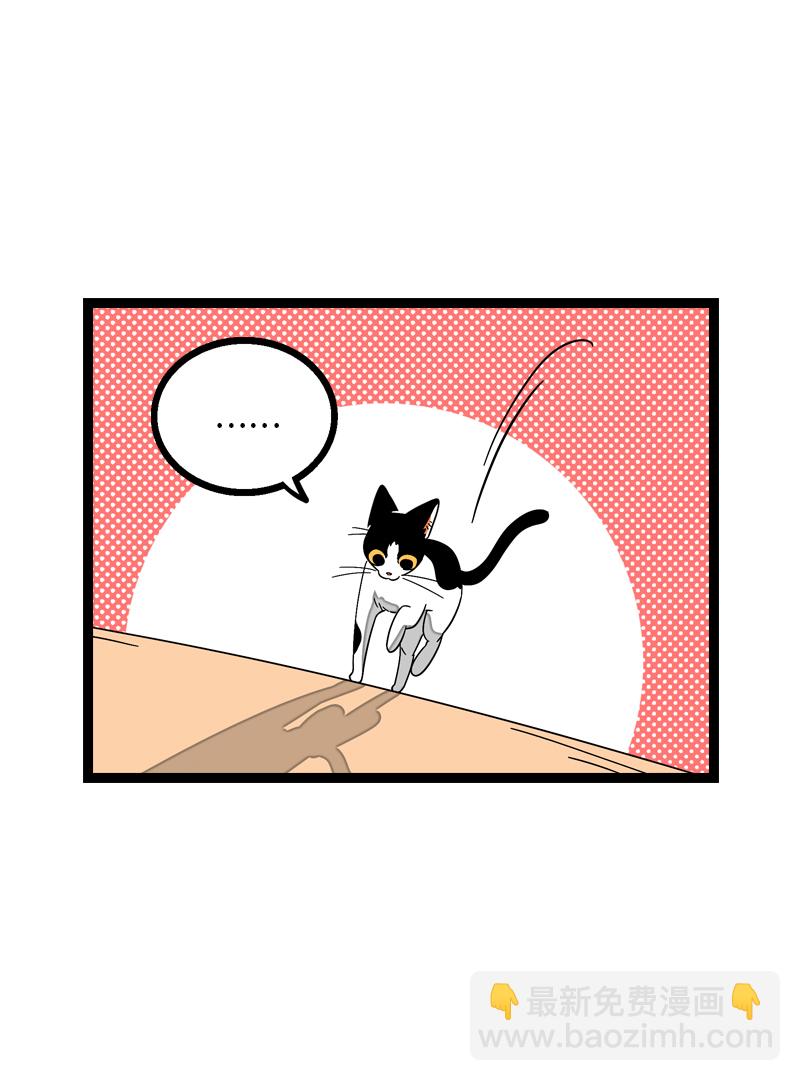 週一至週末 - 第11話 一隻特立獨行的貓 - 5