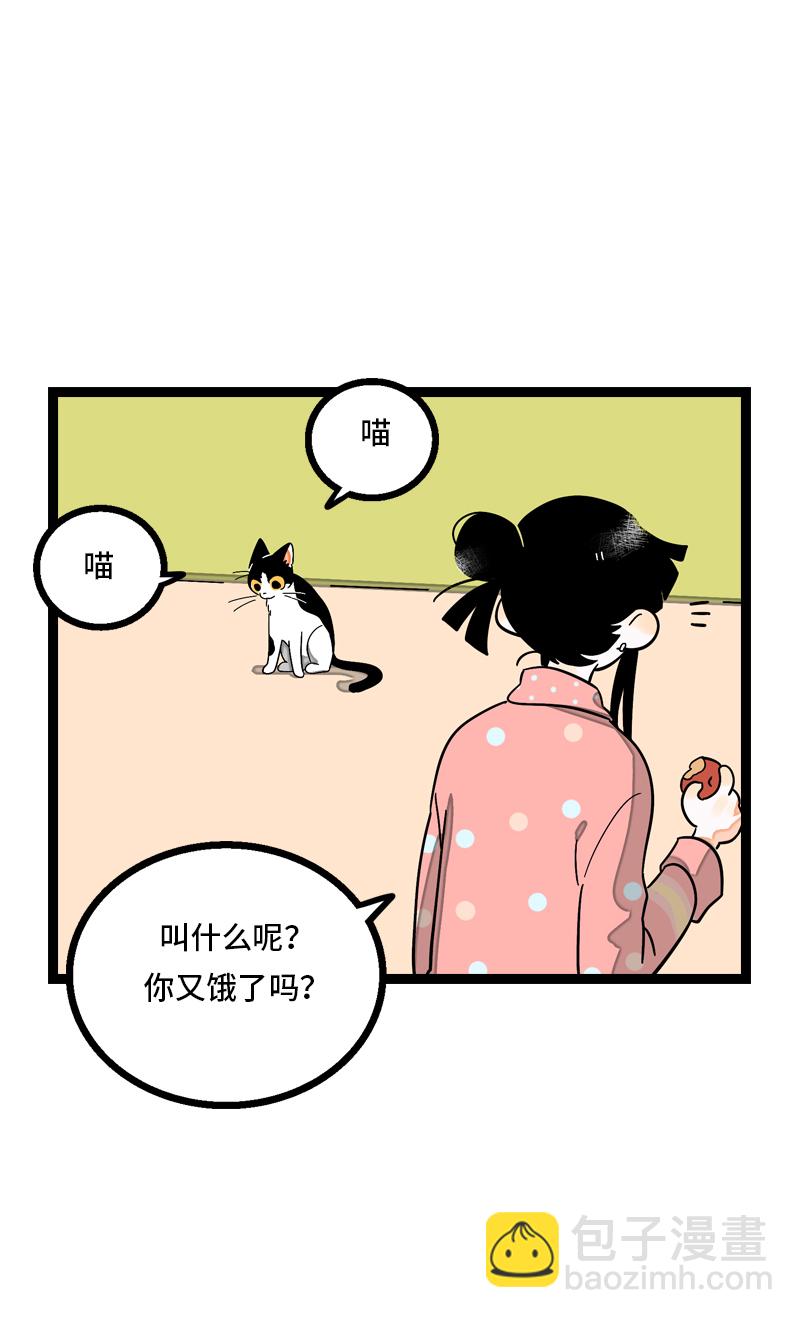 週一至週末 - 第11話 一隻特立獨行的貓 - 7