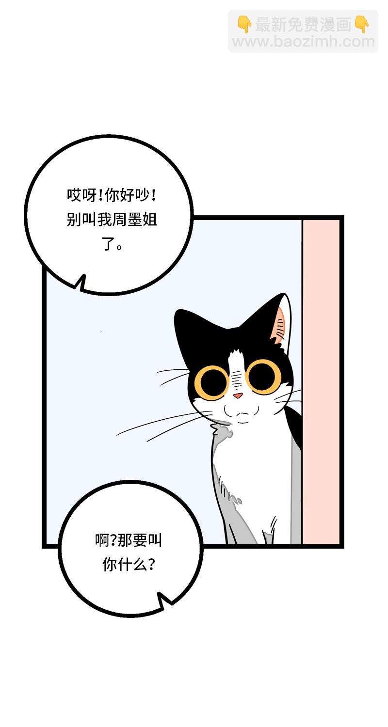 週一至週末 - 第11話 一隻特立獨行的貓 - 5