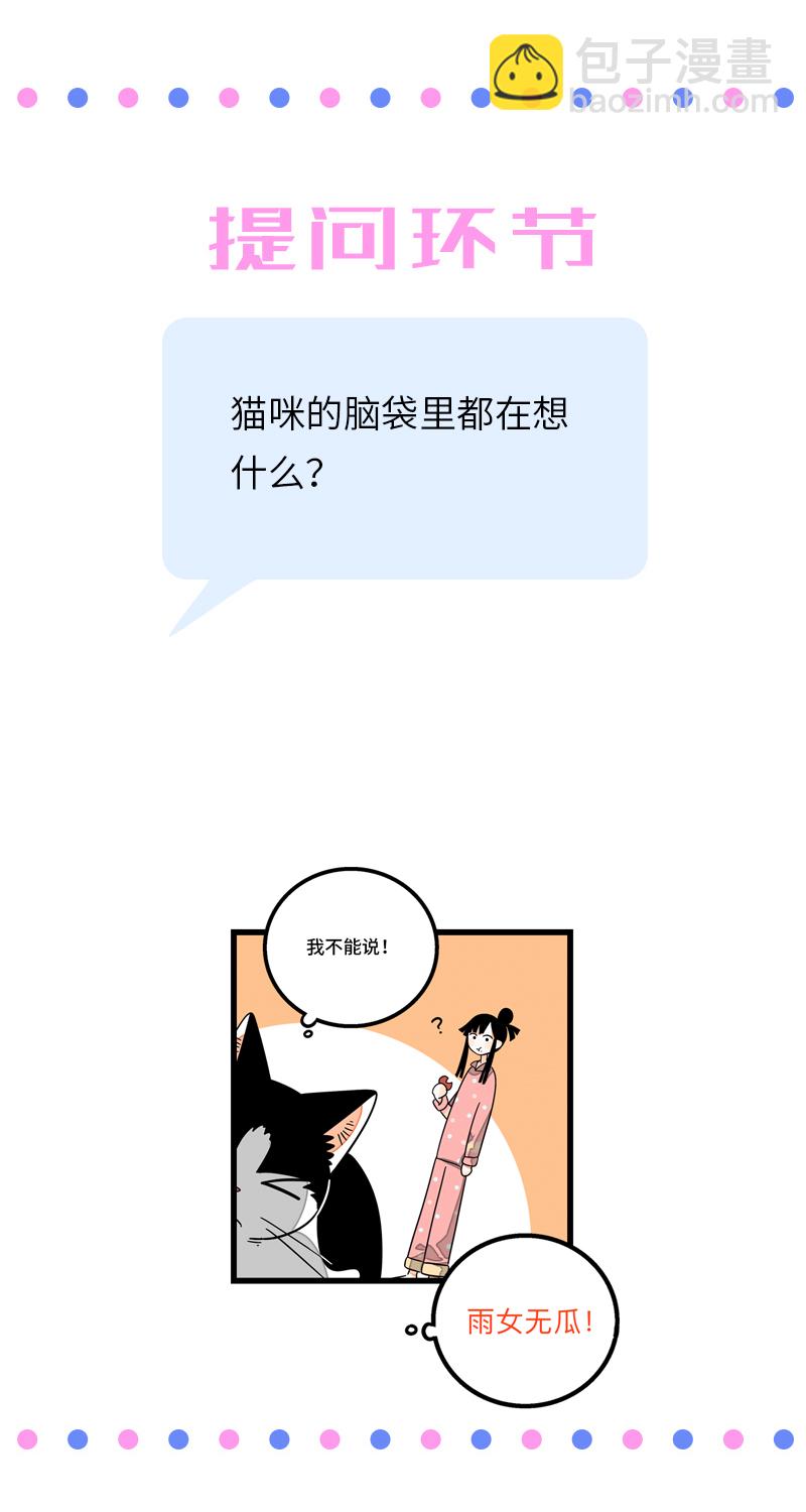 週一至週末 - 第11話 一隻特立獨行的貓 - 4