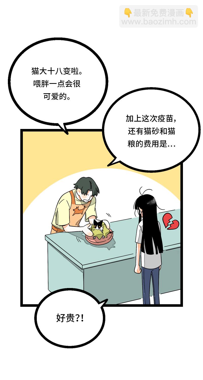 週一至週末 - 第11話 一隻特立獨行的貓 - 6