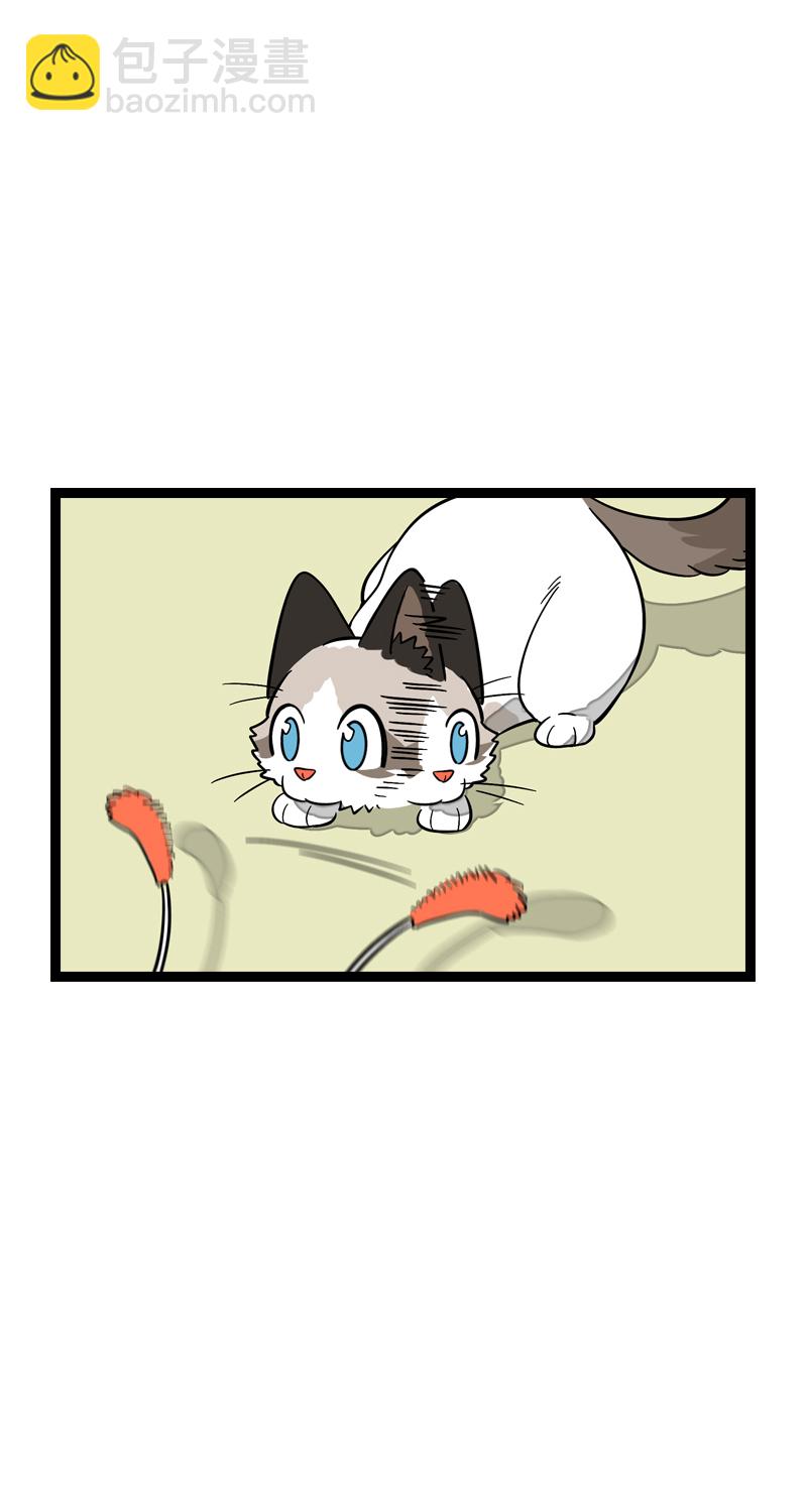 週一至週末 - 第11話 一隻特立獨行的貓 - 1