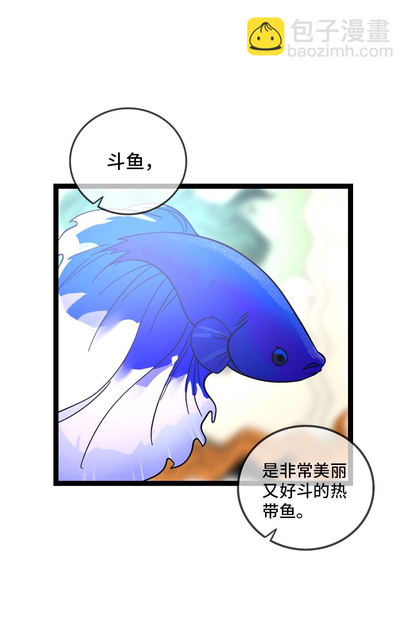 週一至週末 - 第138話 鬥魚 - 3