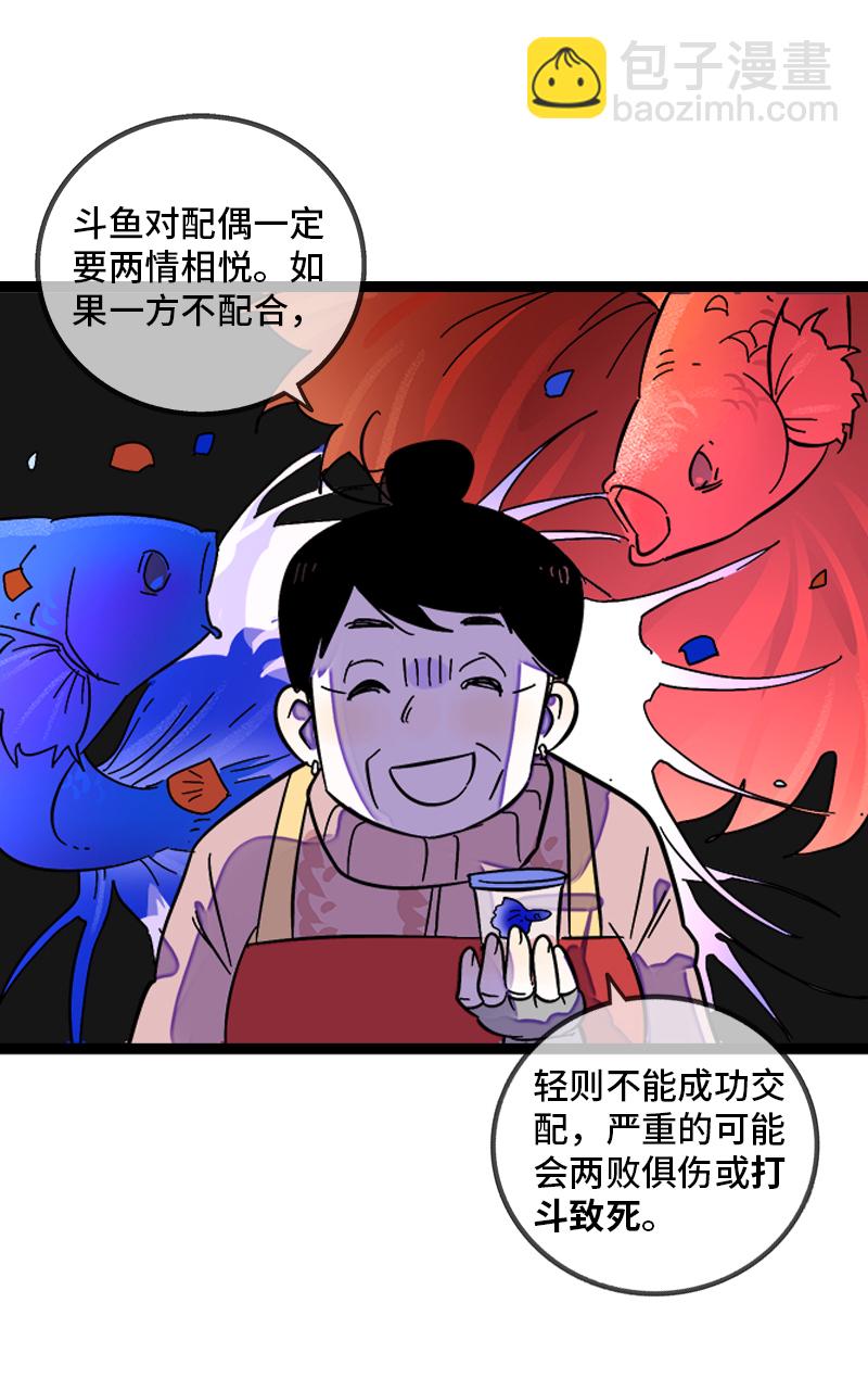 週一至週末 - 第138話 鬥魚 - 4