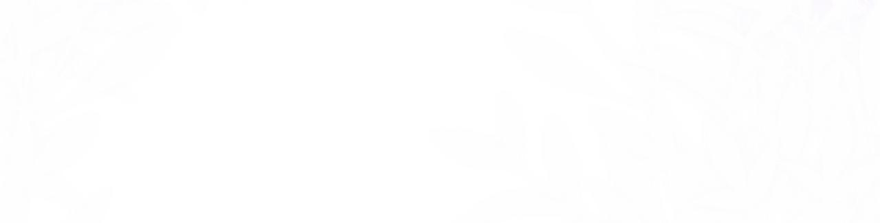 第25话  初一？(1/2)-第26话