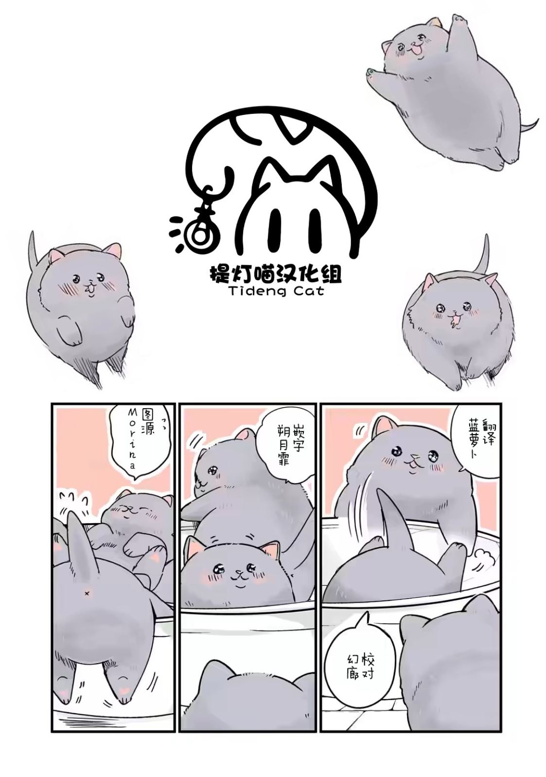 轉生貓貓 - 第28話 - 2