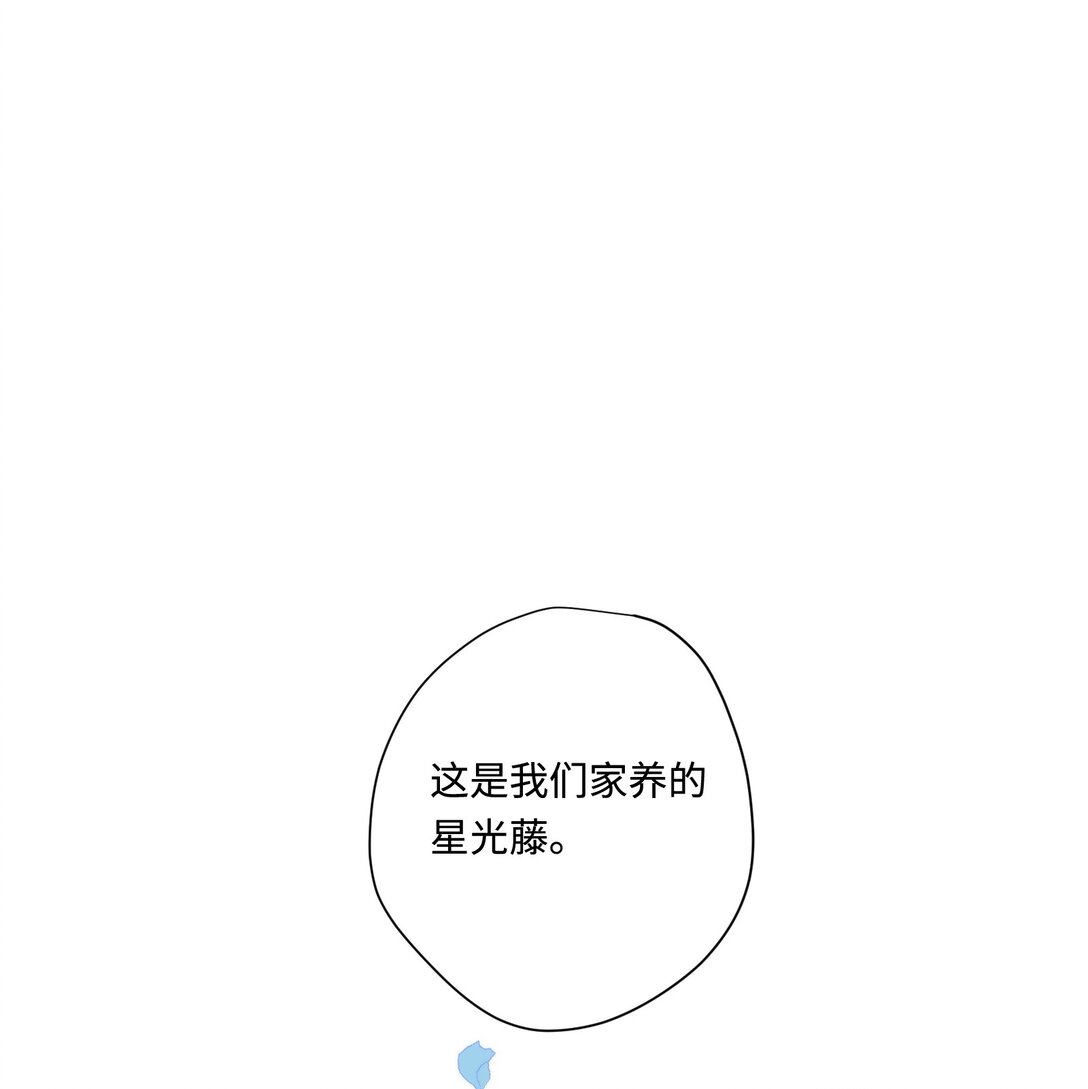 第13话 尼尔丝老师？-第14话