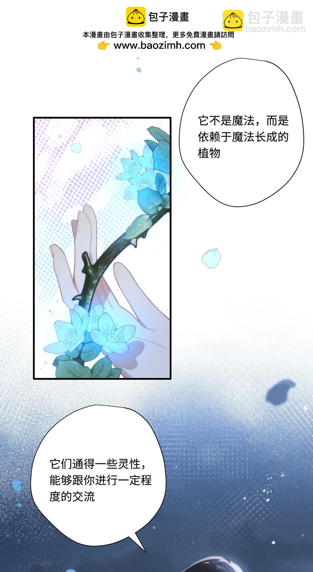 第13话 尼尔丝老师？-第14话