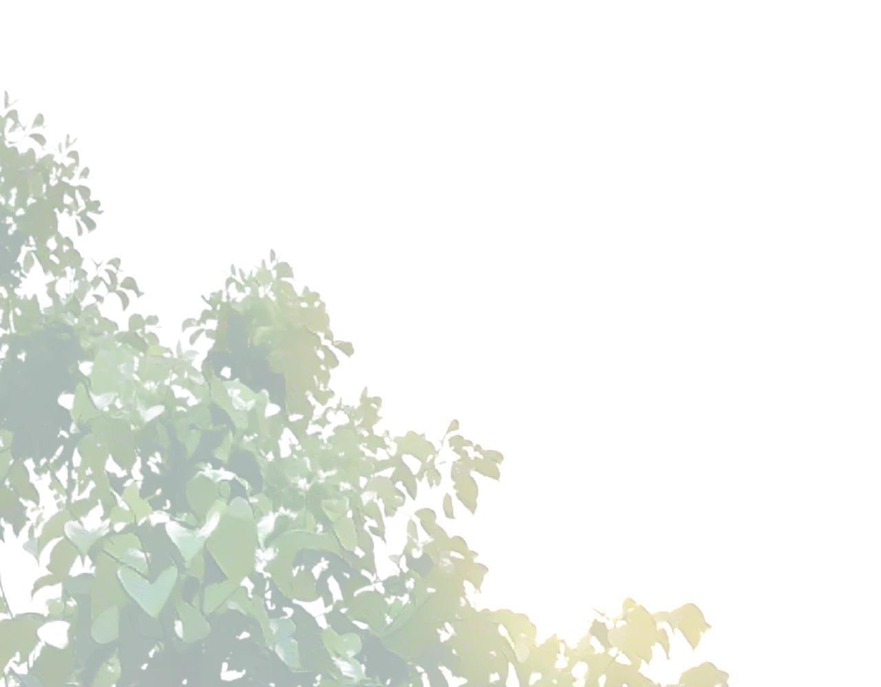 第67话 冷战？！(1/3)-第68话