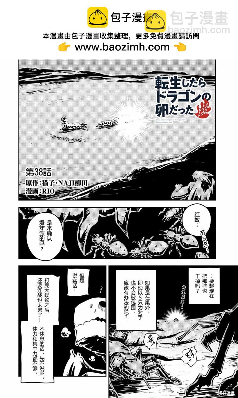 轉生之後的我變成了龍蛋~目標乃是世界最強~ - 第38話 - 2