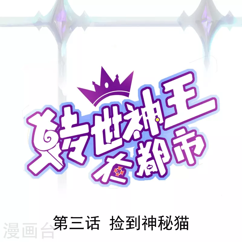 第3话 捡到神秘猫-第4话