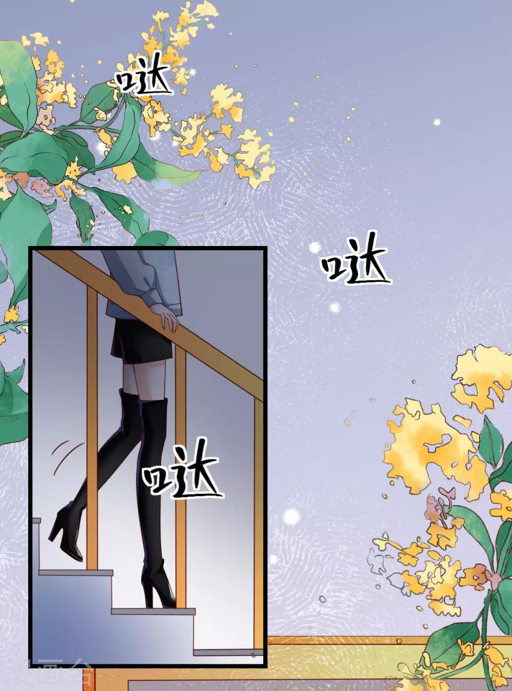 第47话 终于确定的心意-第48话