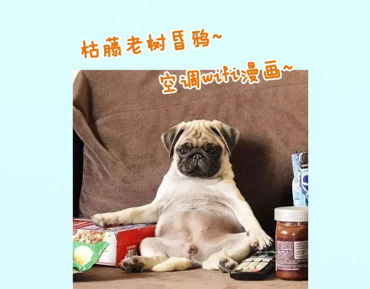 主編的牀 - 第14期 赤喵喵(1/2) - 3