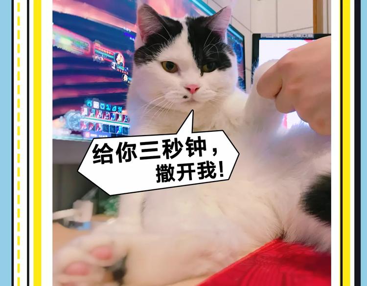 主編的牀 - 第16期 胡桃(1/2) - 5