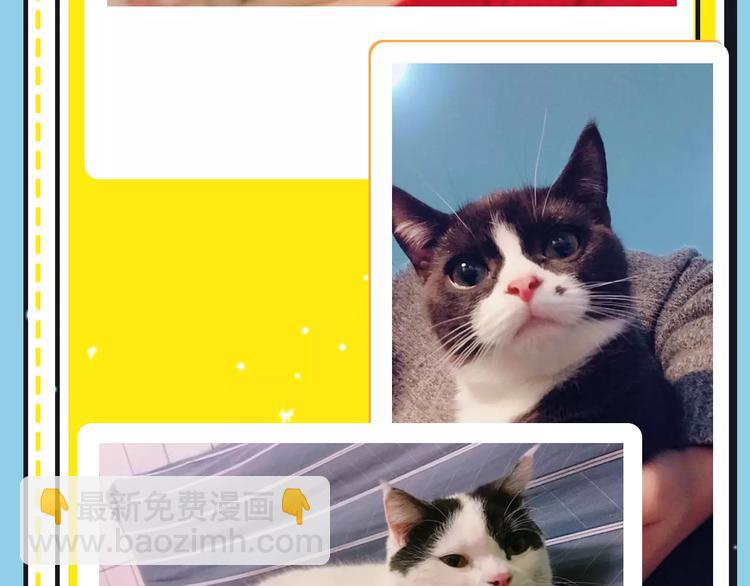 主編的牀 - 第16期 胡桃(1/2) - 6