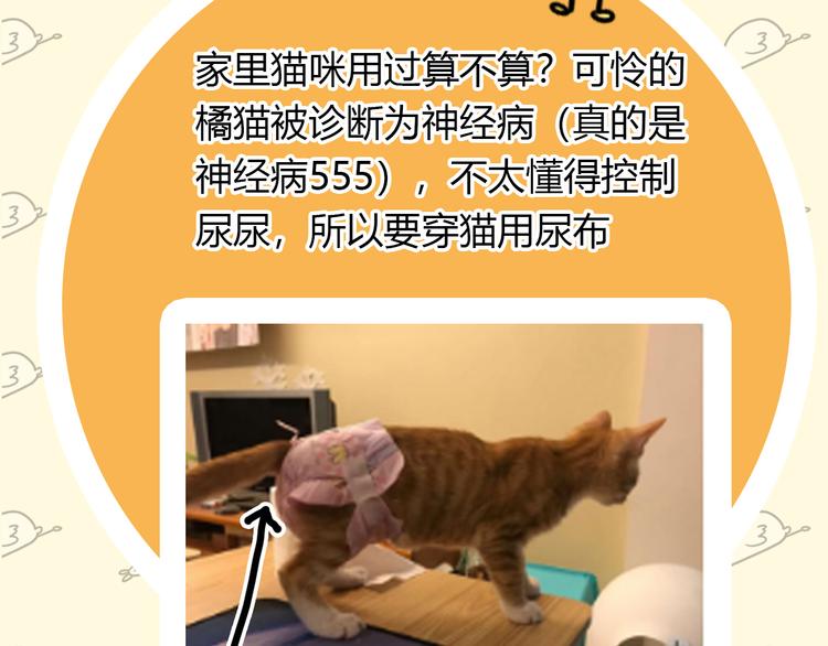 主編的牀 - 第24期 大寶貝揭秘！(1/2) - 4