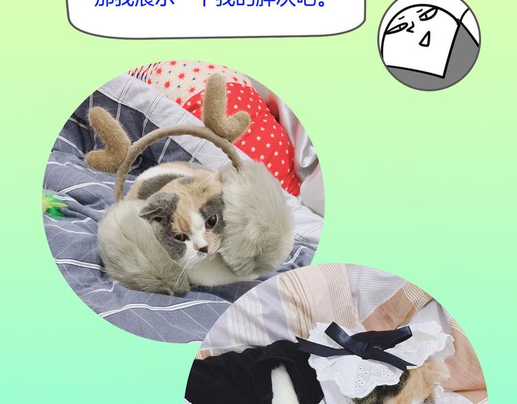 第30期  黑圈白点(1/2)-第30话