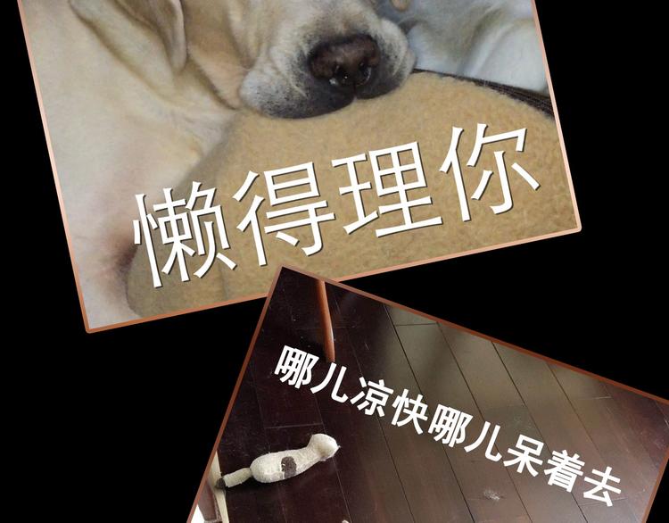 主編的牀 - 第32期 LALA二世(1/2) - 4